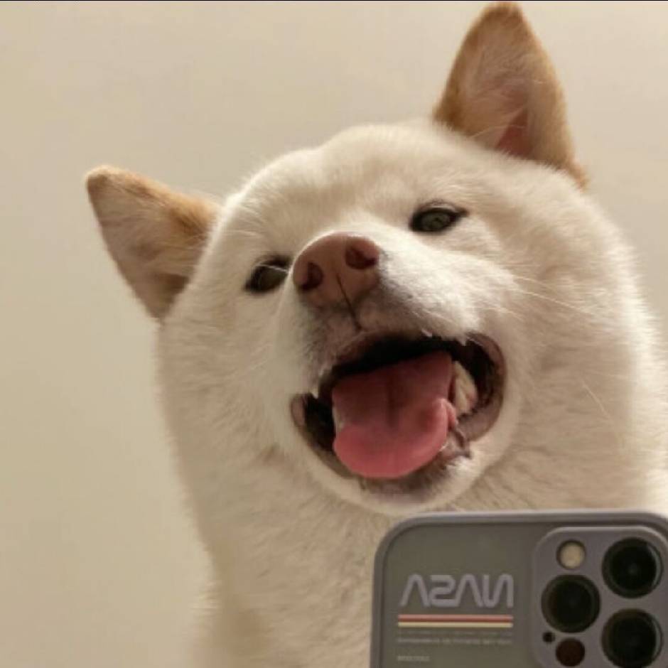 博客头像